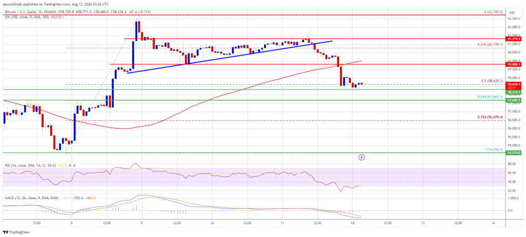 Bitcoin Price Holds Support