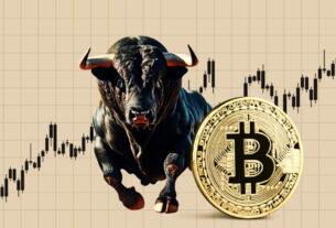 Bull Run Bitcoin