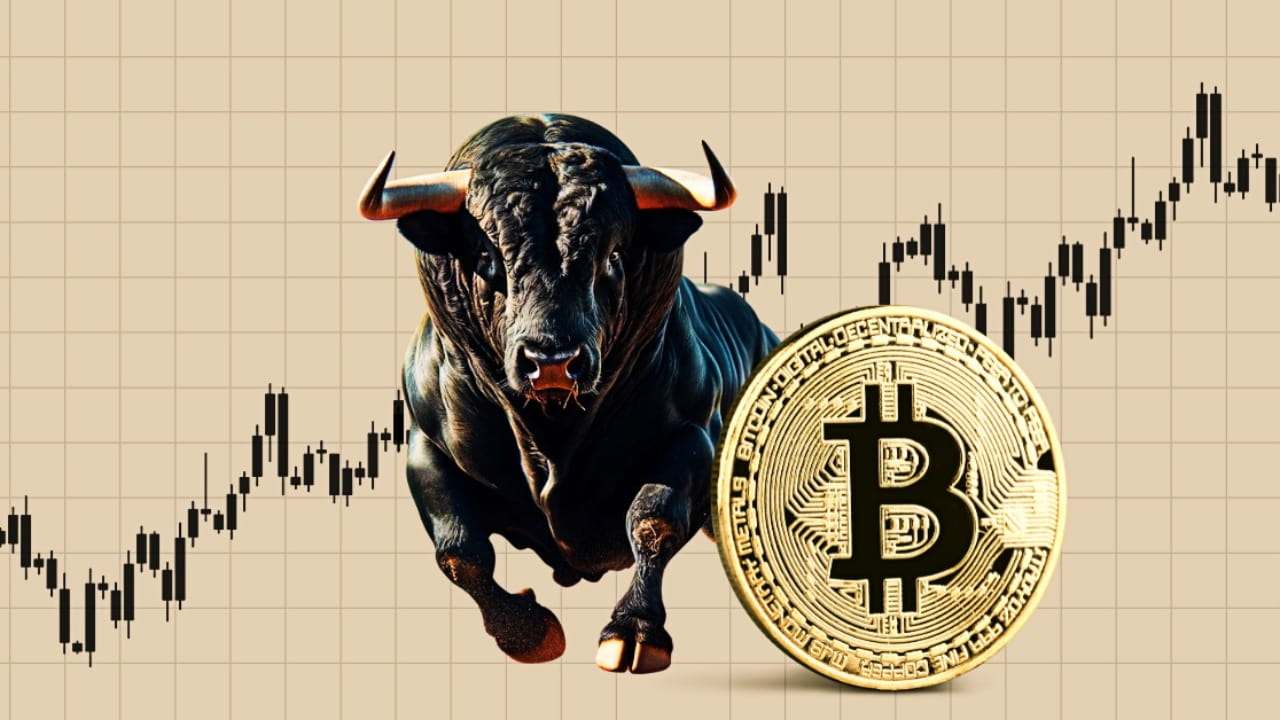 Bull Run Bitcoin