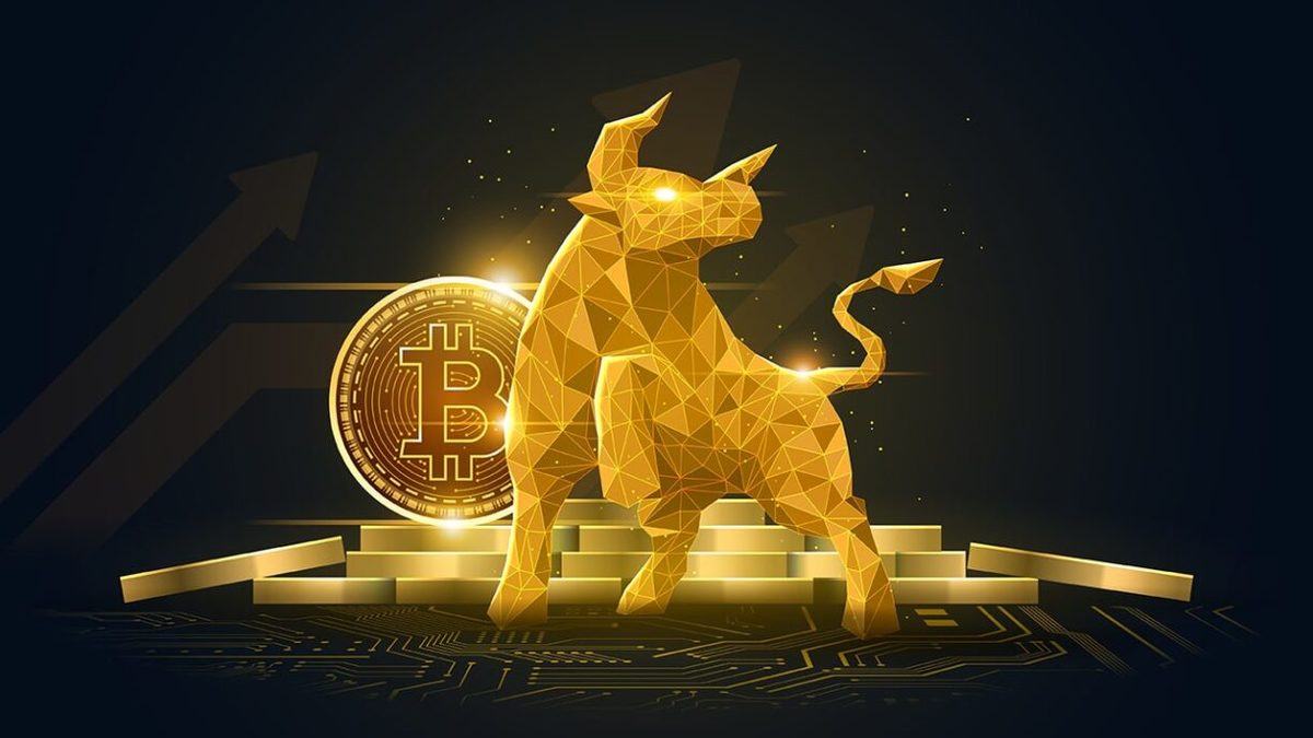 Final crypto bull run