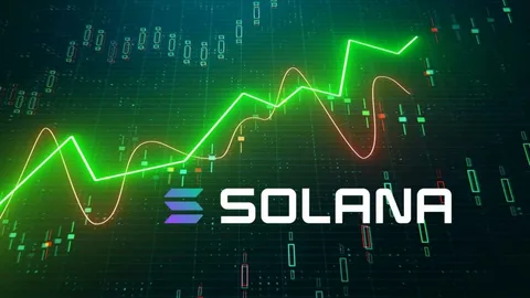 Solana's Rising Popularity