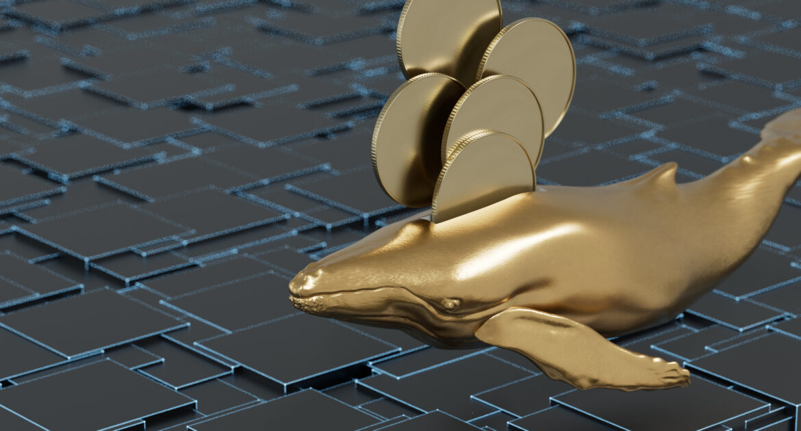 Whale Investment Fuels