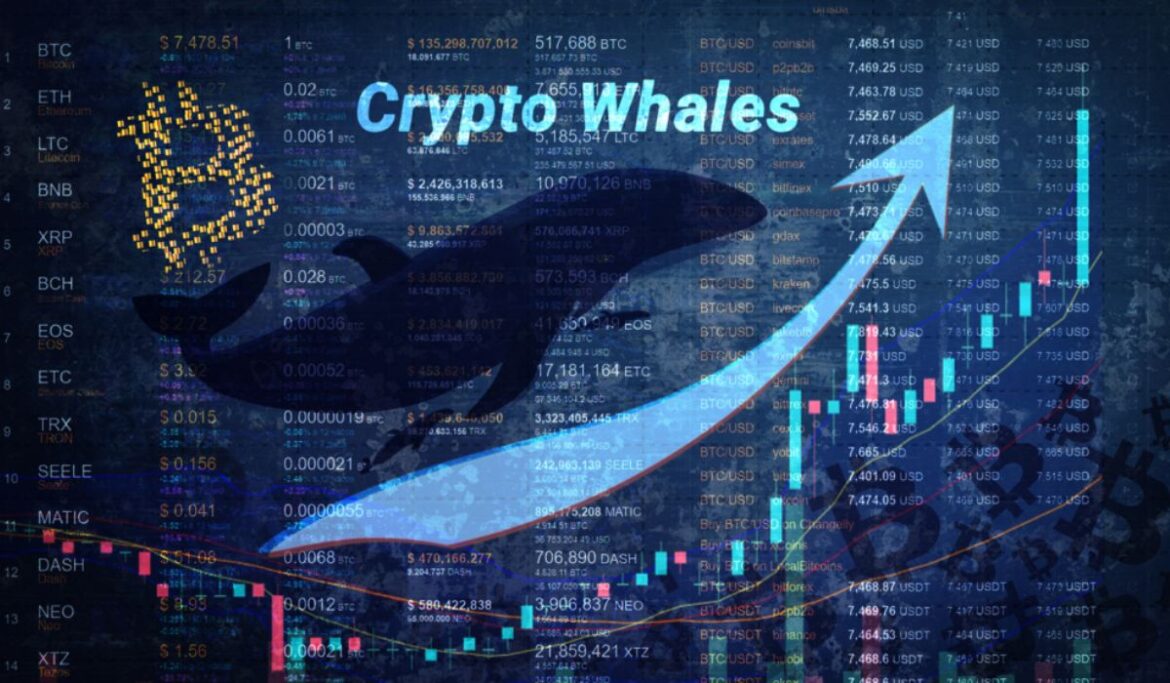 Whales Buy $2B in XRP During Market Volatility