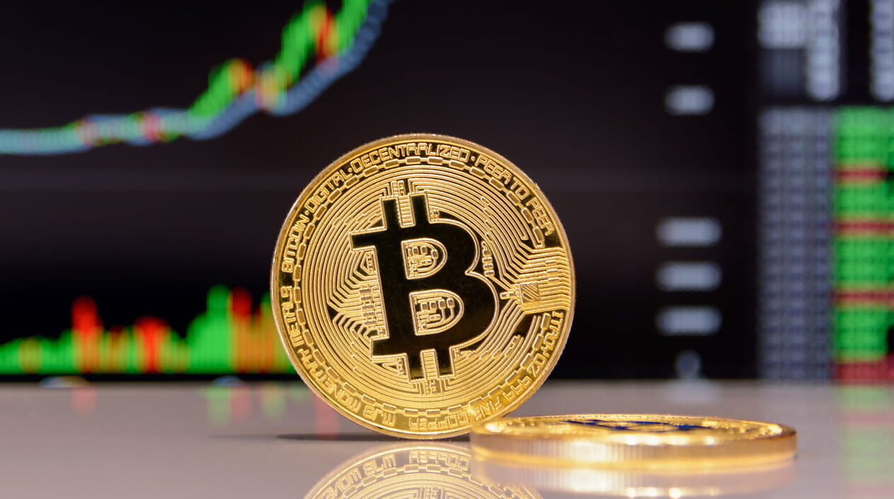 Bitcoin Adoption and Utility