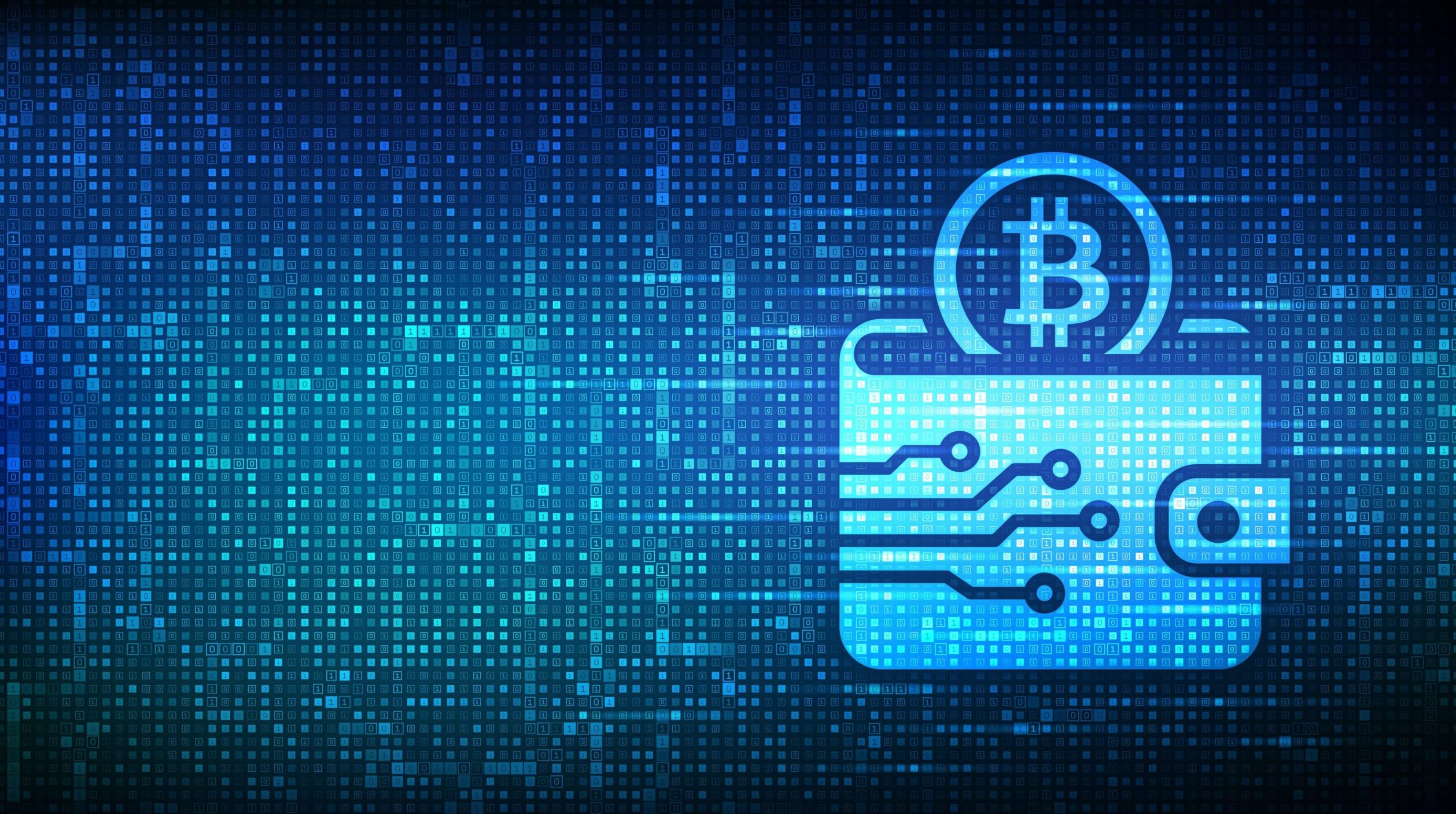 Bitcoin Wallets and Security