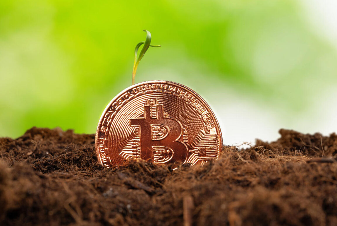 Government and Institutional Bitcoin Adoption