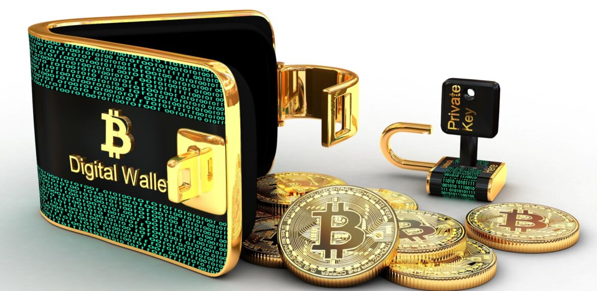 crypto wallet setup guide